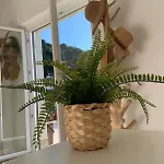 Penthouse With A Sea View In Appartamento Alassio