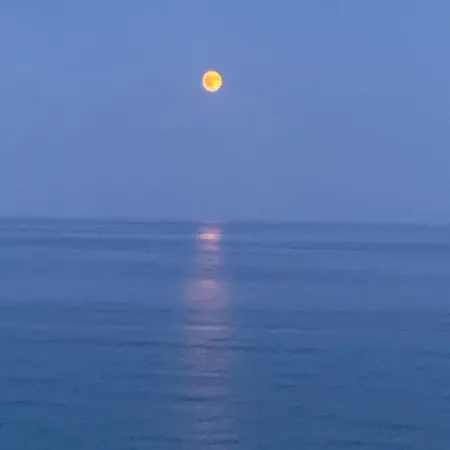 Penthouse With A Sea View In Alassio